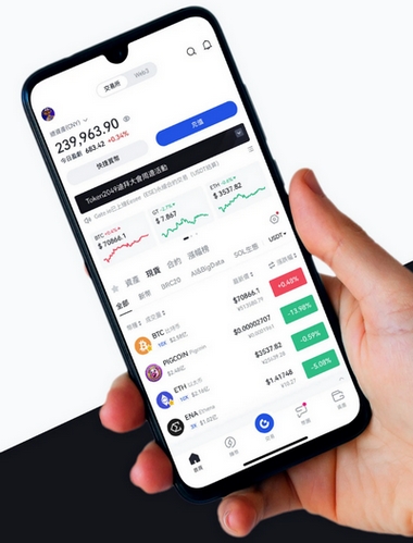TurkBtc - Como o aplicativo TurkBtc aprimora sua negociação?